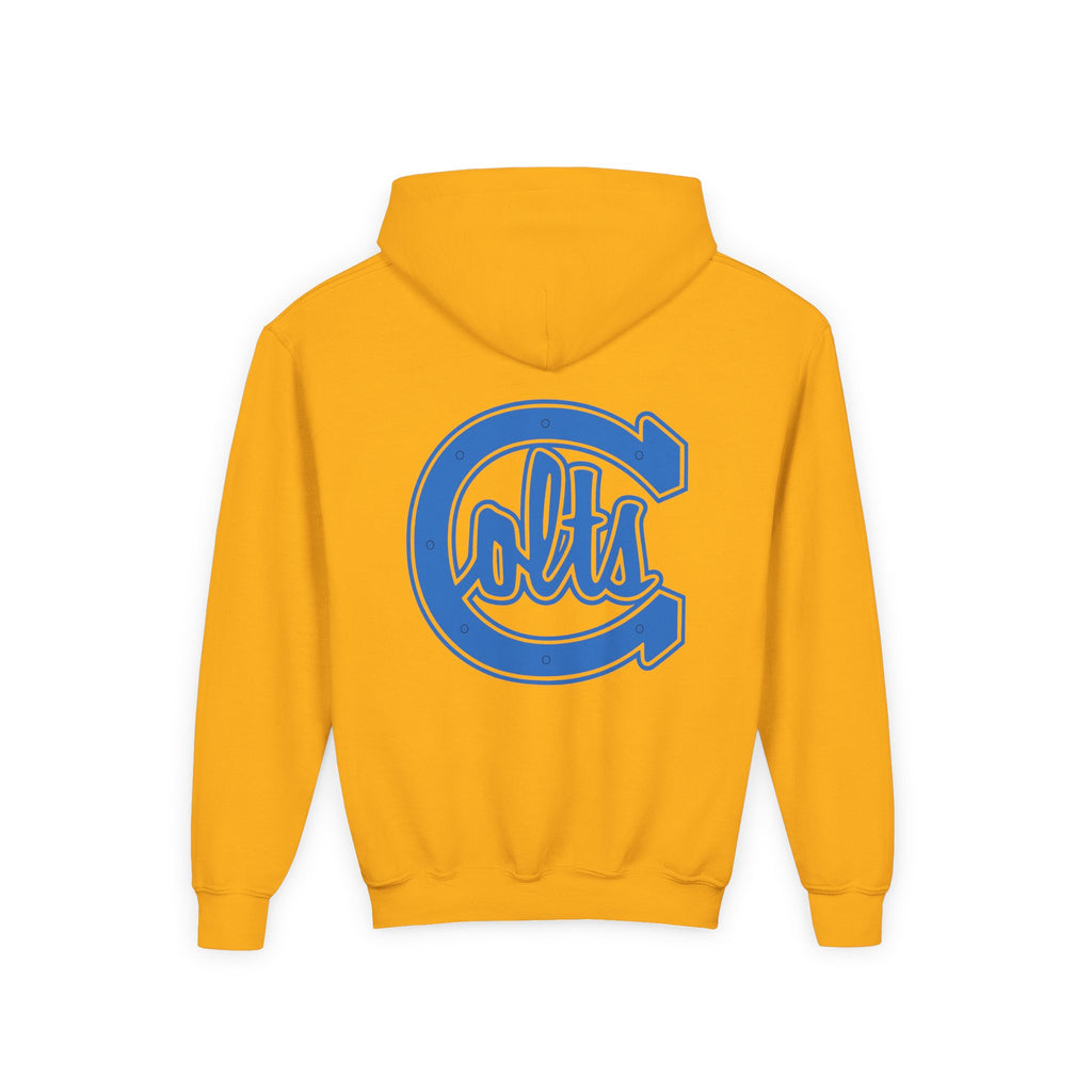 Carson Colts JV - Youth Hoodie