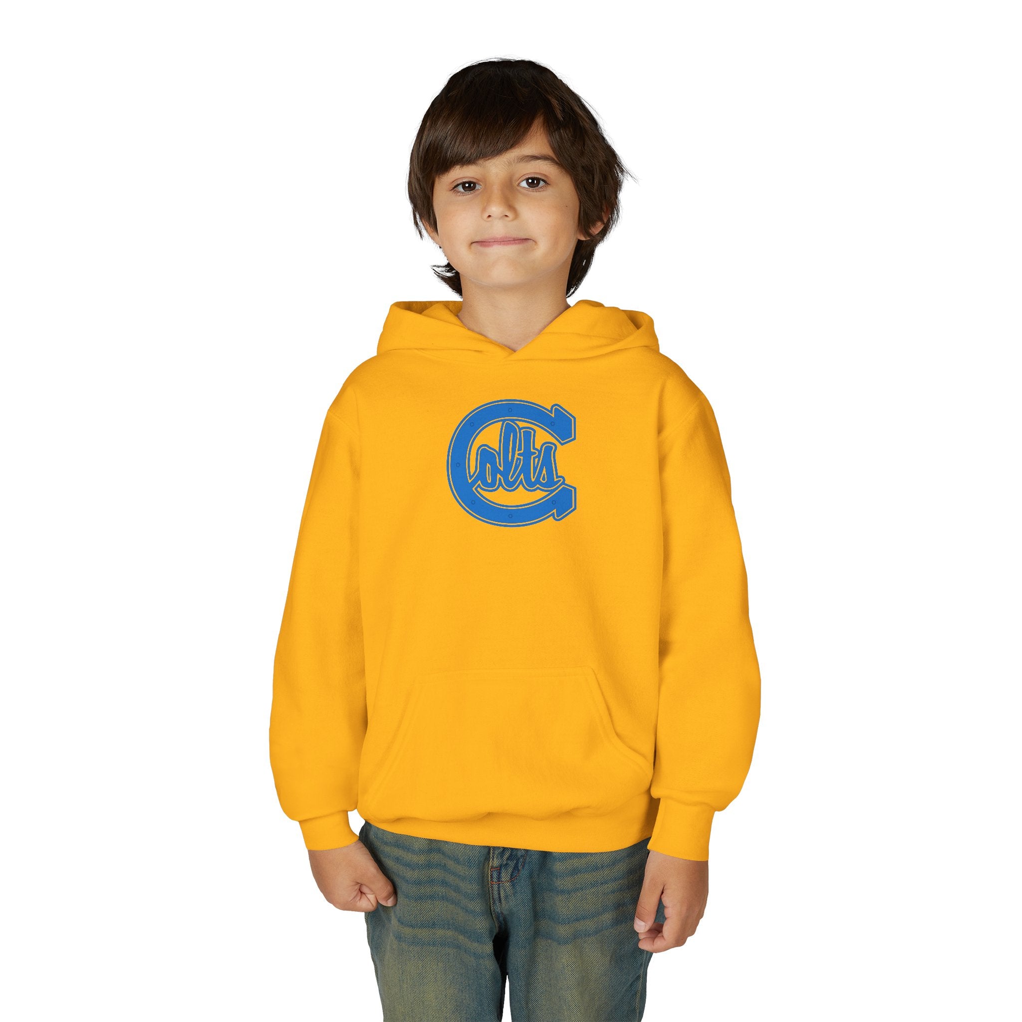 Carson Colts JV - Youth Hoodie