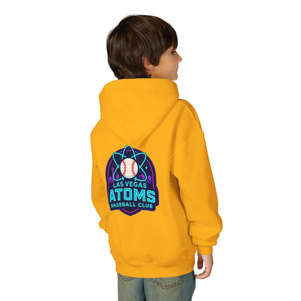 ATOMS NYS - Youth Hoodie