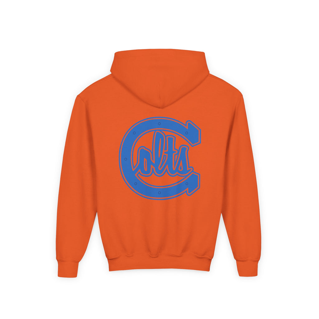 Carson Colts JV - Youth Hoodie