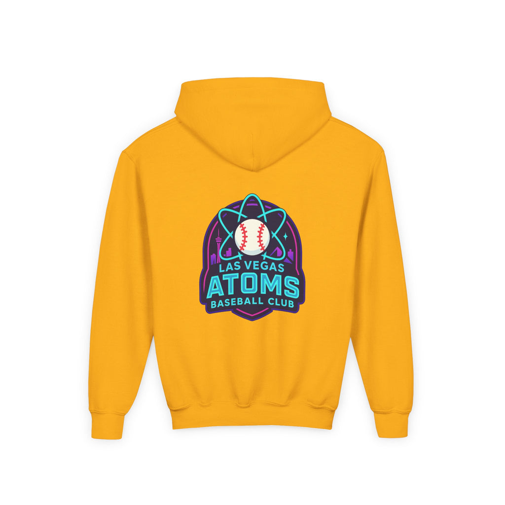 ATOMS NYS - Youth Hoodie