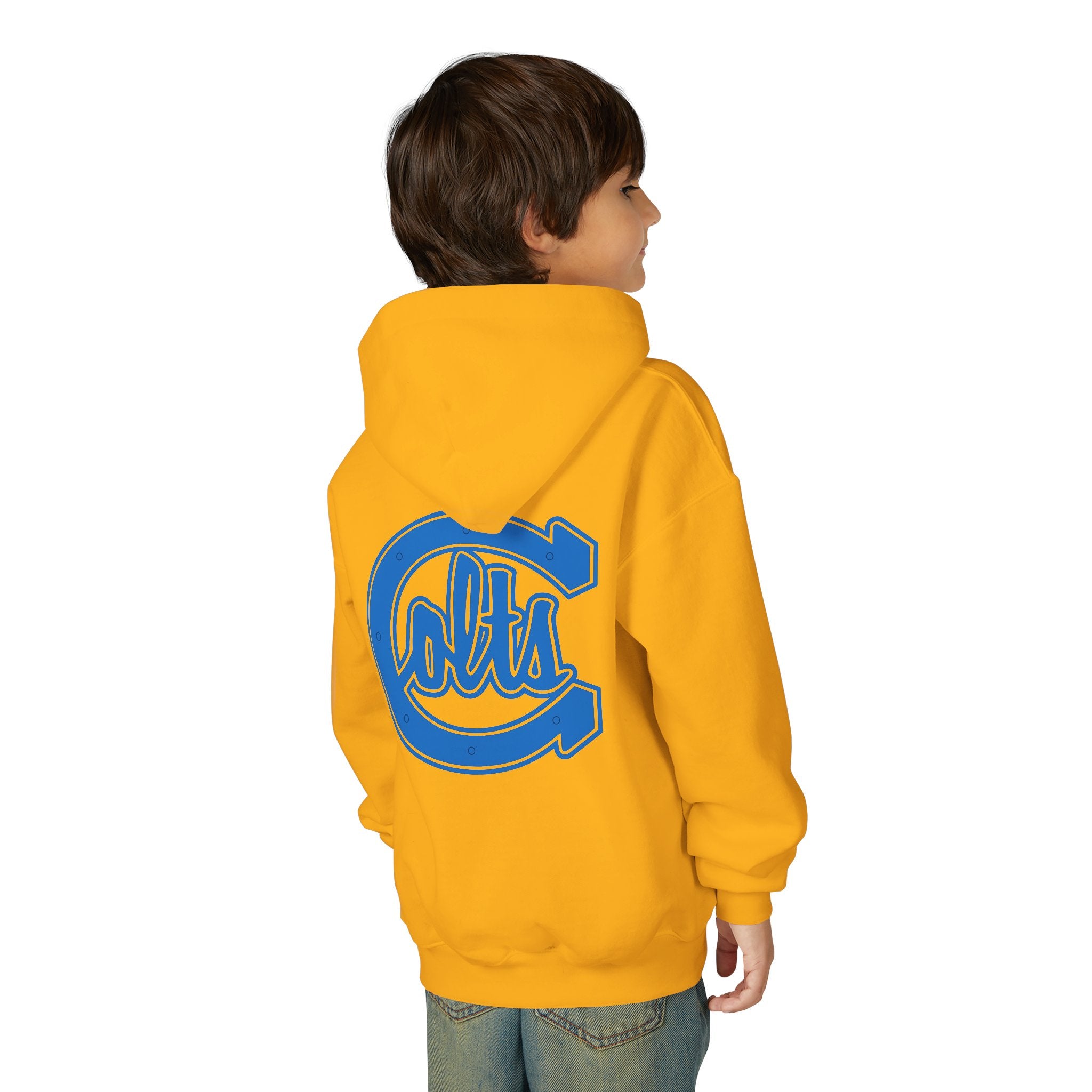 Carson Colts JV - Youth Hoodie