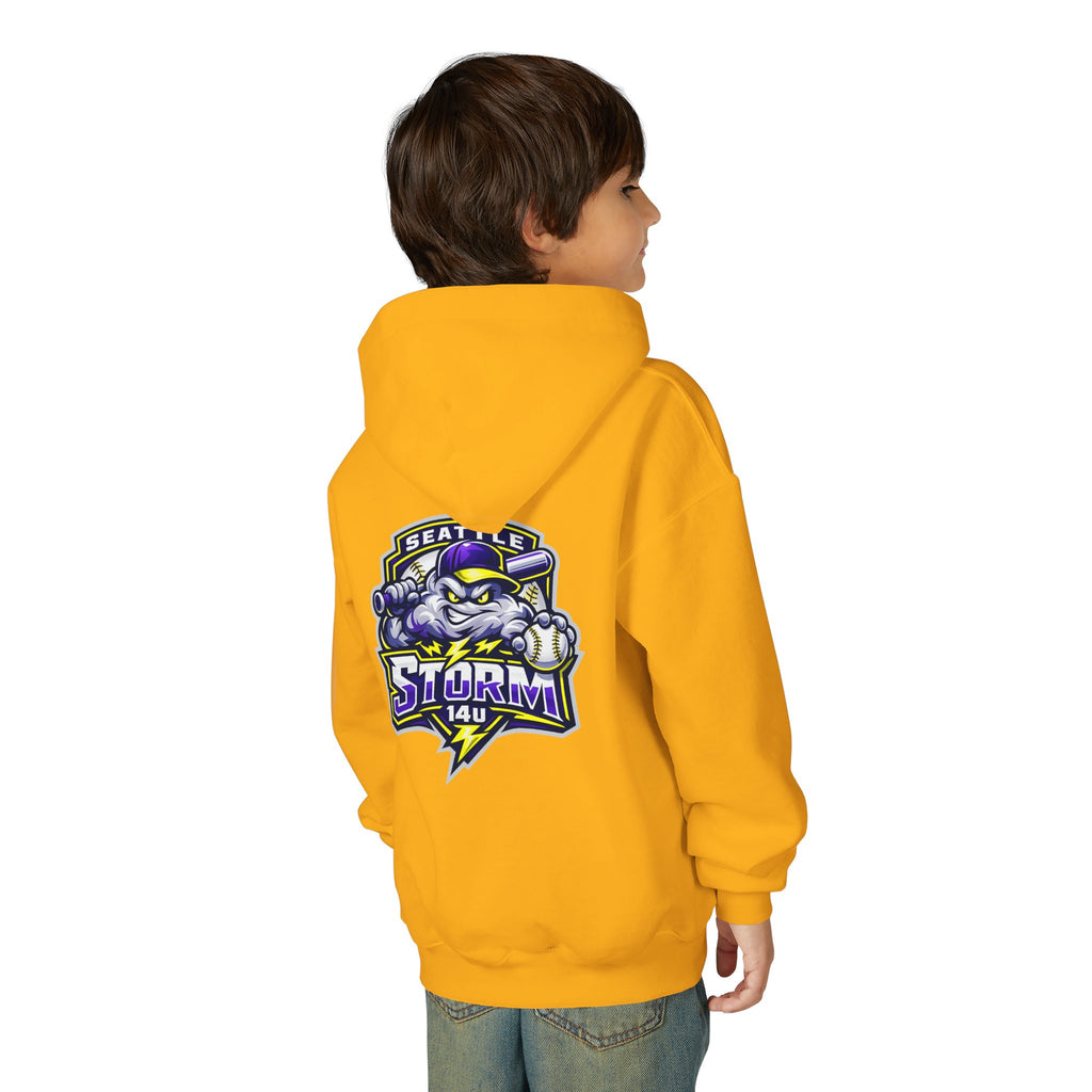 Seattle Storm 14u - Youth Hoodie