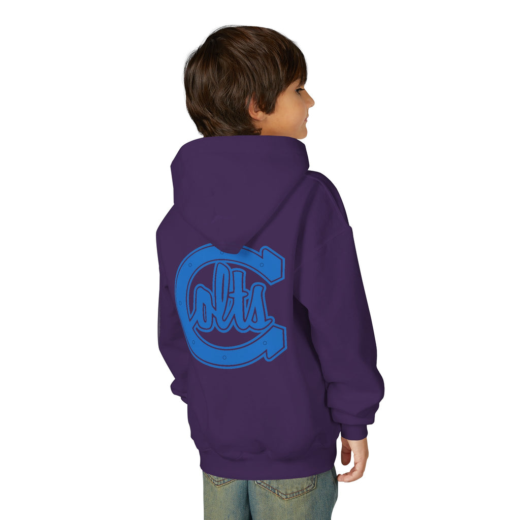 Carson Colts JV - Youth Hoodie