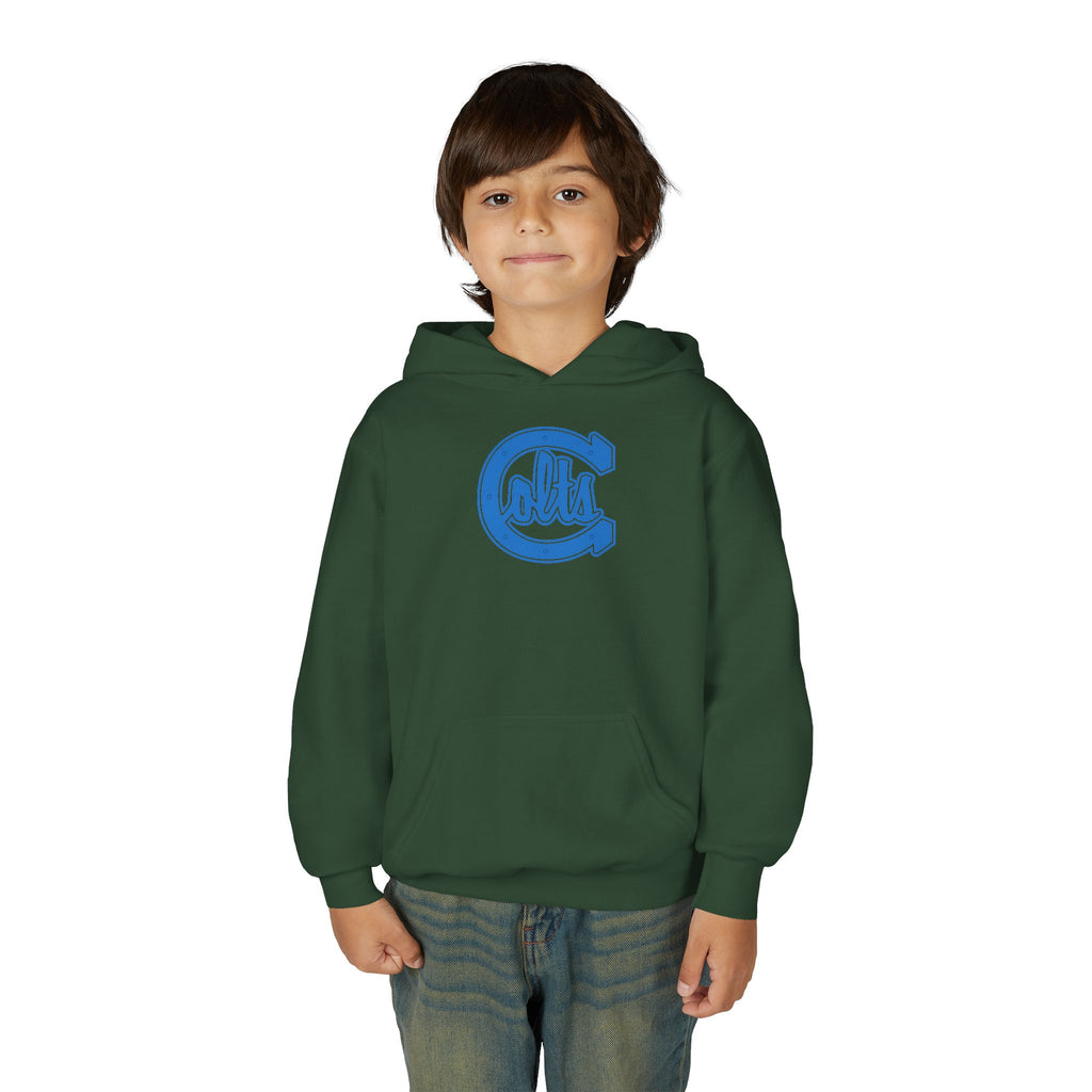 Carson Colts JV - Youth Hoodie