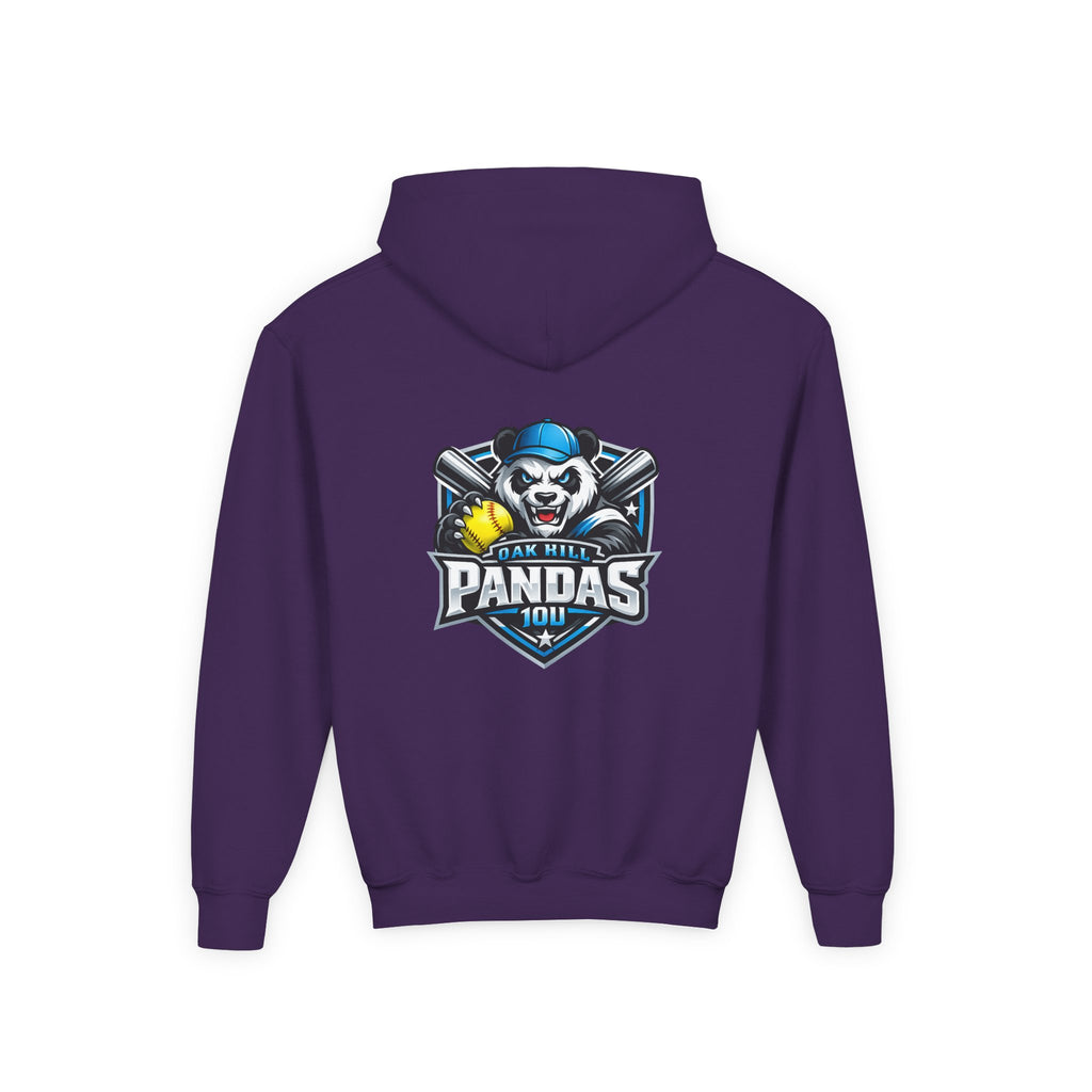 Pandas - Youth Hoodie