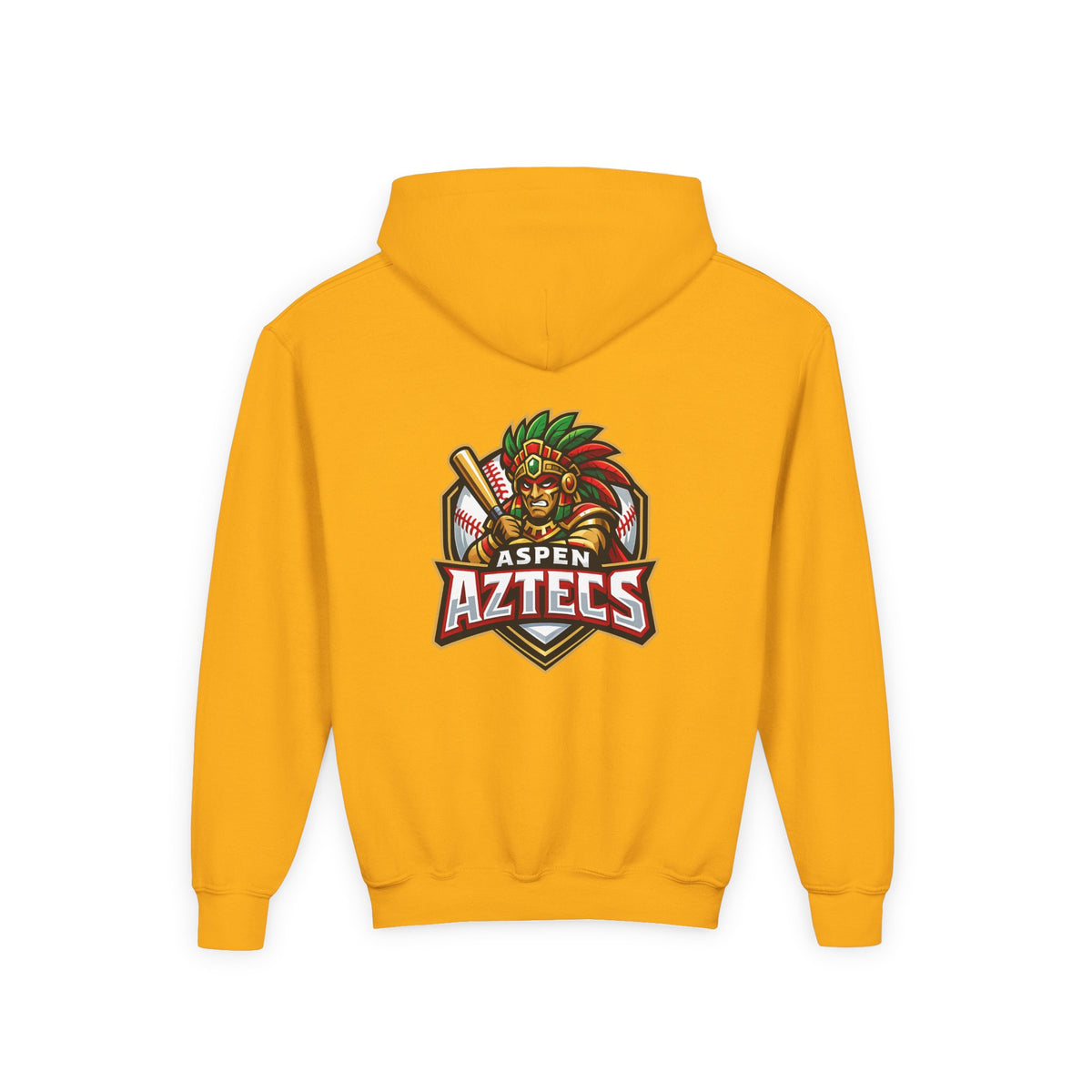 Aspen Aztecs - Youth Hoodie
