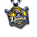 Dande-Lions Softball 14u HypeChain — angled view